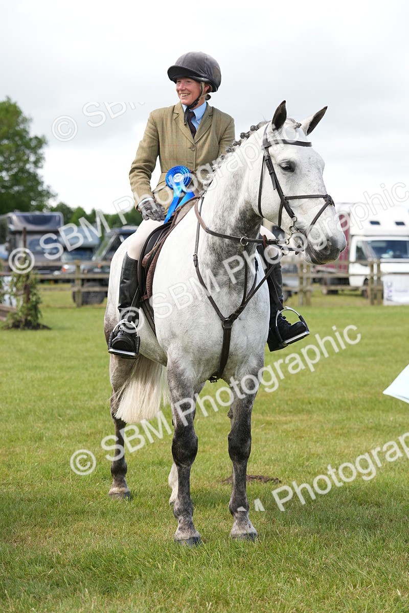 SBM_14907 - Class 100-102 - RIHS Working Hunter