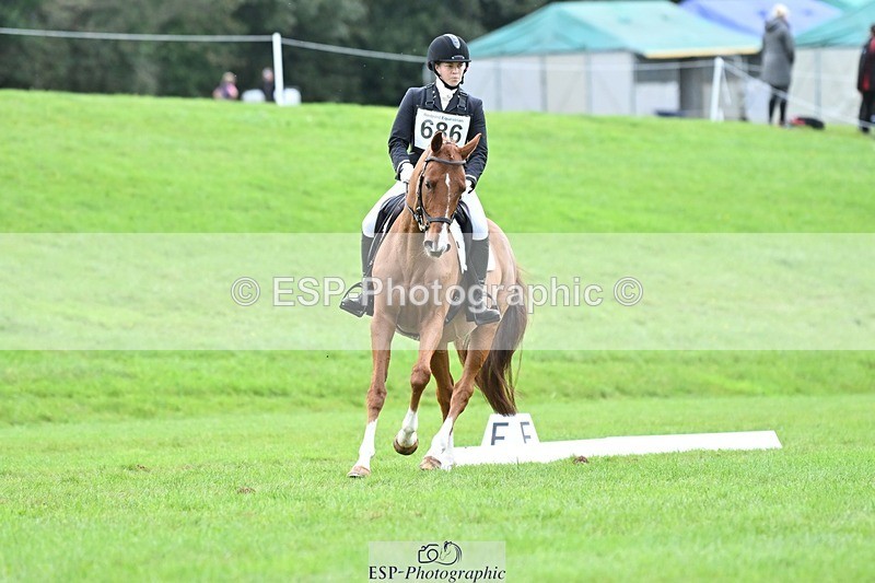 231020-152947-11491 - 686-MOORLAND.MAGIC-Charlotte.Chard-DR