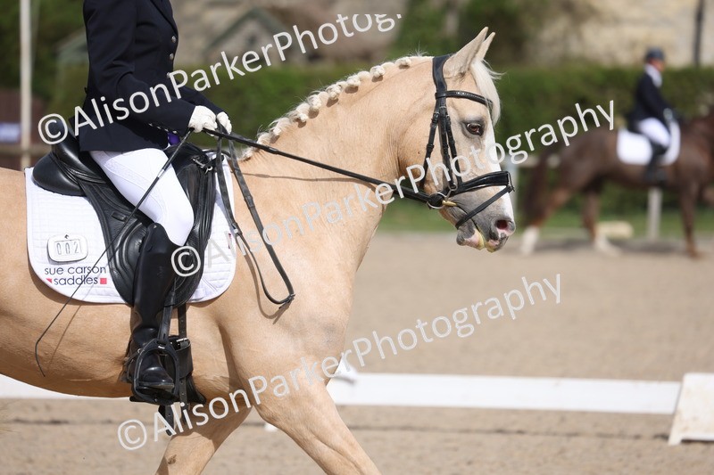 20260405-0199 - Class 3 - Novice 5