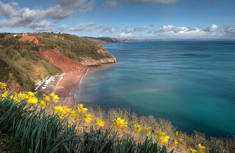 Springtime at Babbacombe Downs Torquay - Torquay See separate galleries for Cockington, Meadfoot and Anstey's Cove
