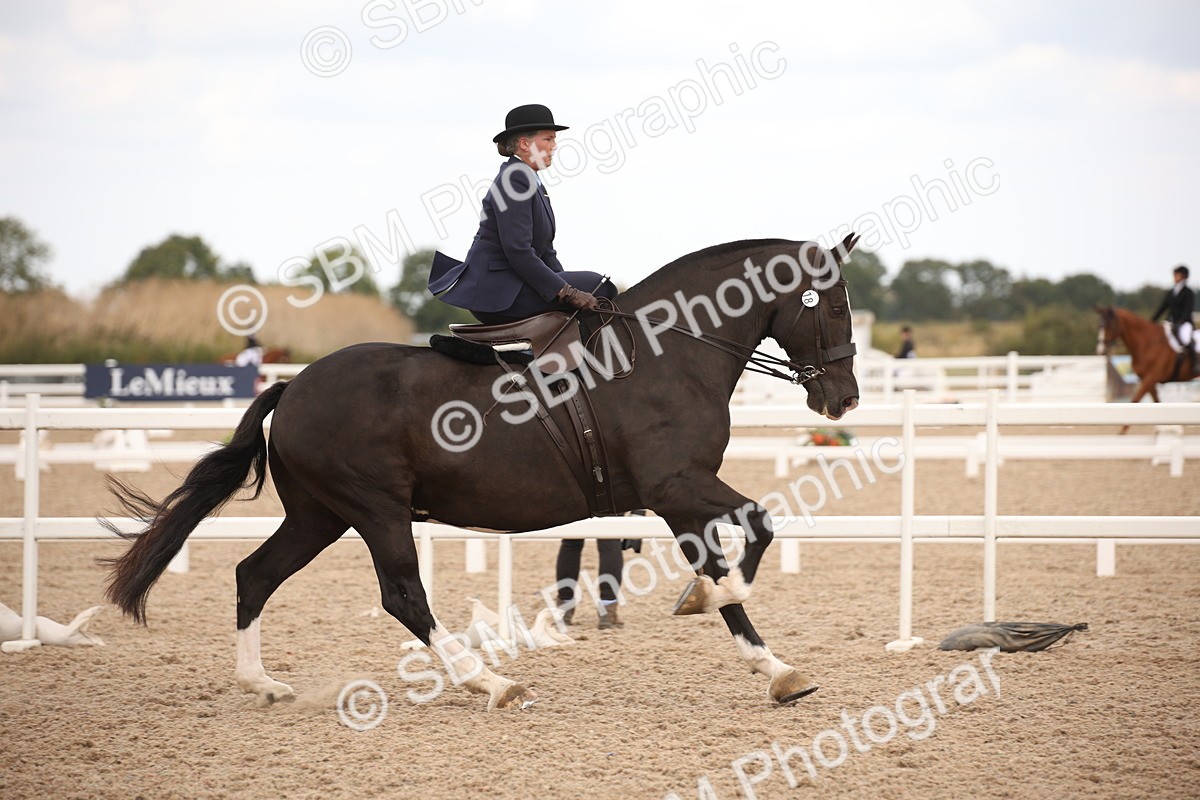 SBM_05337 - Class 22 SSA Equitation