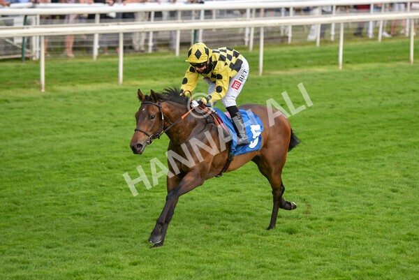 yr23072021r3-30 - Race 3 7.00pm The JKH 80th Birthday Celebration EBF Novice Median Auction Stakes (Plus 10 Race)