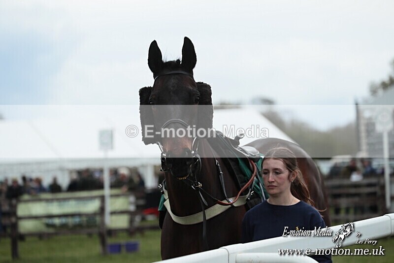 PtP 130425 15 - Edgecote Races 13/04/25