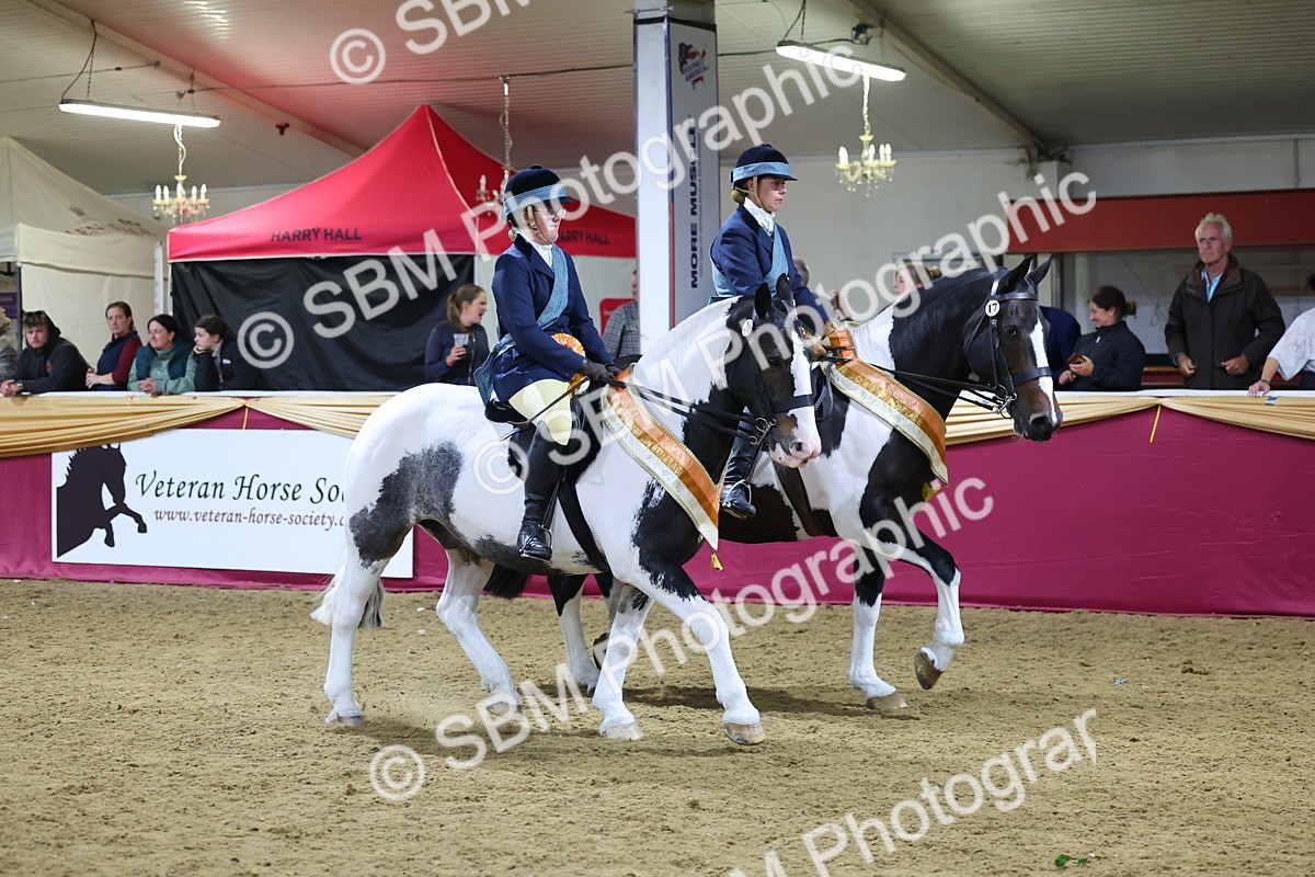 0B8A4359 - Class M Ridden Pairs Champ