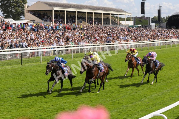 290723-Race 3-Alflaila-3849 - Race 3 3.15pm Sky Bet York Stakes (Group 2)