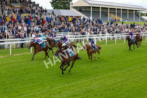 140624-Race 3-Alfa Kellenic-5605 - Race 3 3.00pm British EBF Supporting Racing With Pride Fillies' Handicap