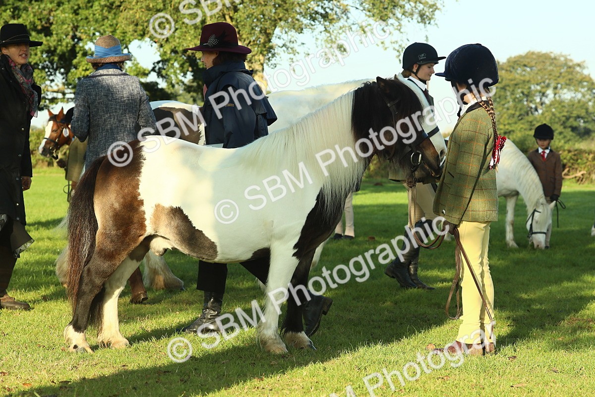 SBM_57431 - S37 - Starters In Hand Showing