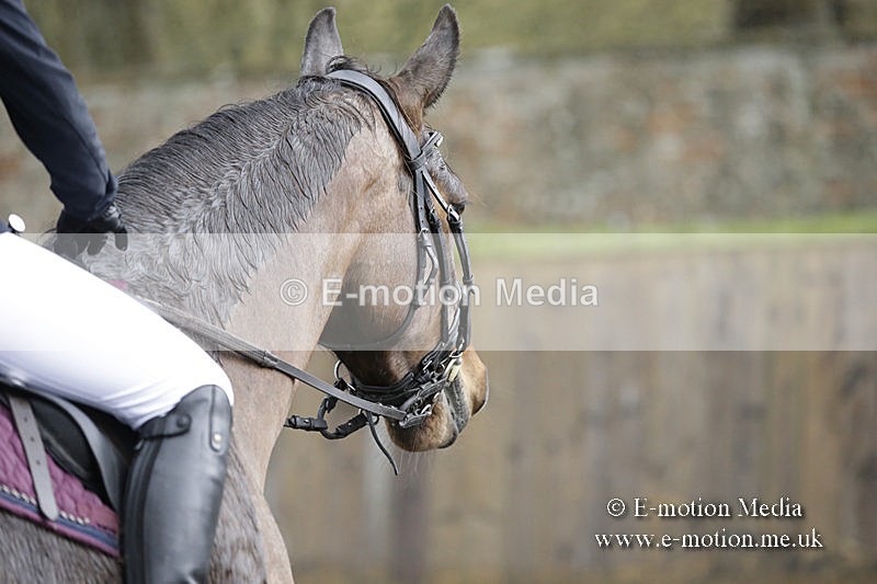 BVRC 050320 0310 - Bourne Valley riding Club Show Jumping Tidworth 08/03/20