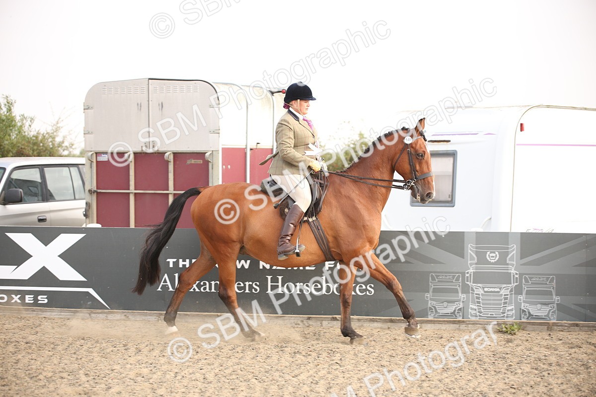 SBM_10287 - Class 402 Riding Club Horse