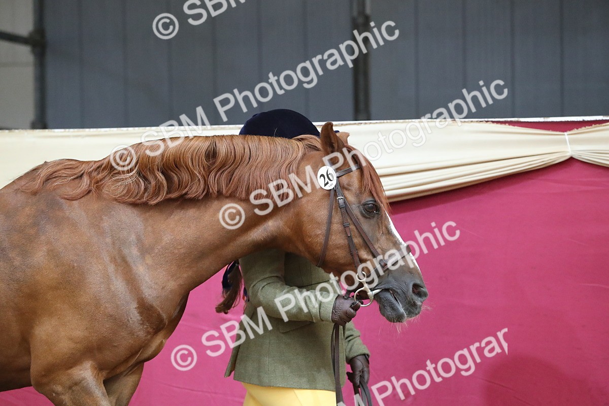 SBM_15101 - Class 501 M&M IH Supreme Final