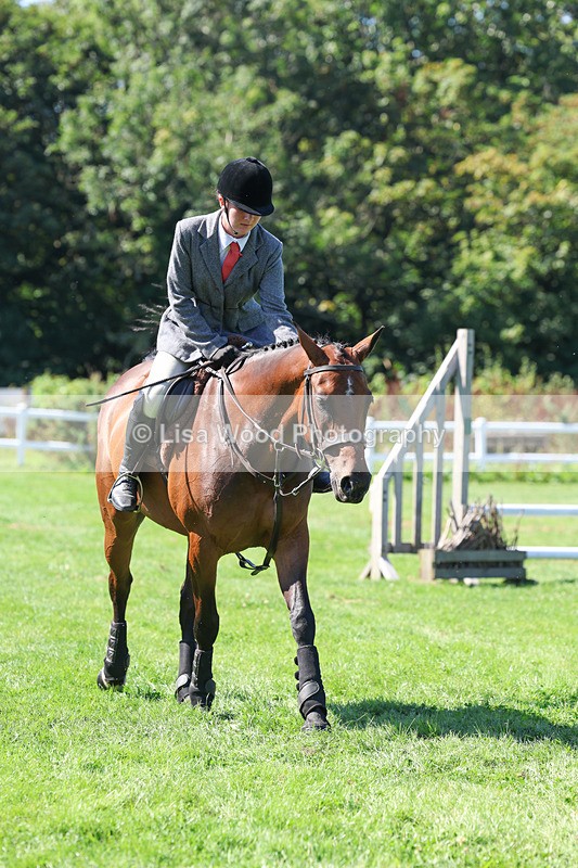 3E7A8312 - Class 4: Novice working Hunter