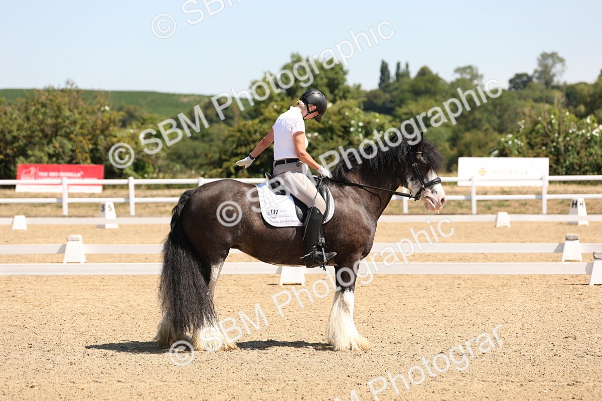 SBM_001205 - Intro 2