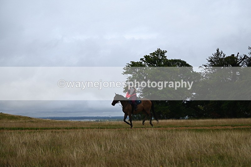 DSC_3936 - Time at Statue 14:56 to 15:05