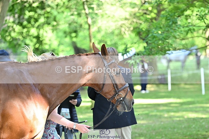 250521A-161223-00983 - C-260-Georgie.Frow-RIVERSTOWN.ROYAL