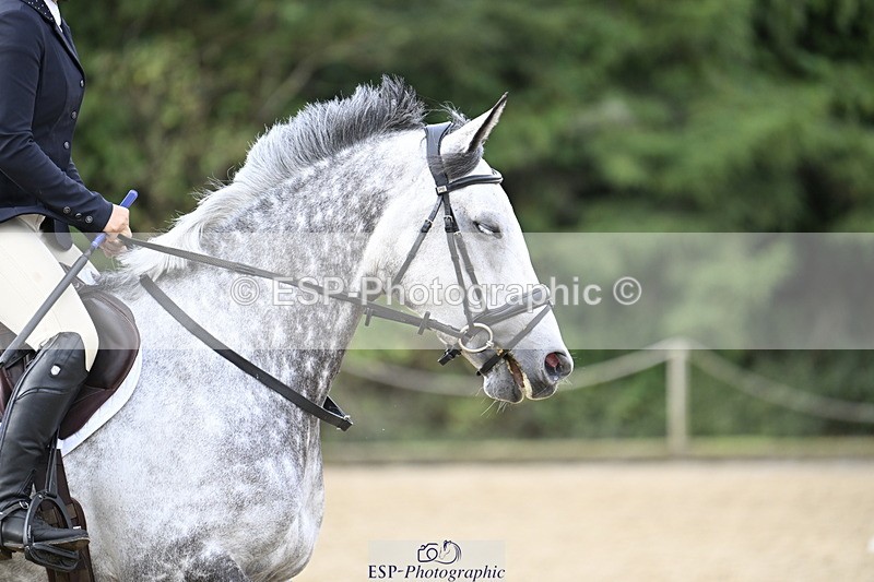 250830A-100313-05466 - Cls 21 British Novice and 90cm Open