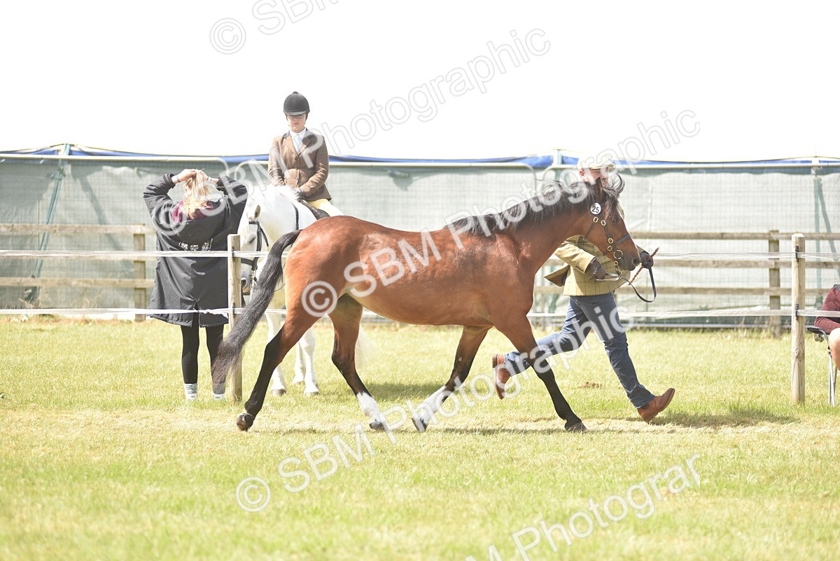 SBM_16081 - Class 117-122 - SSADL RIHS Qualifier