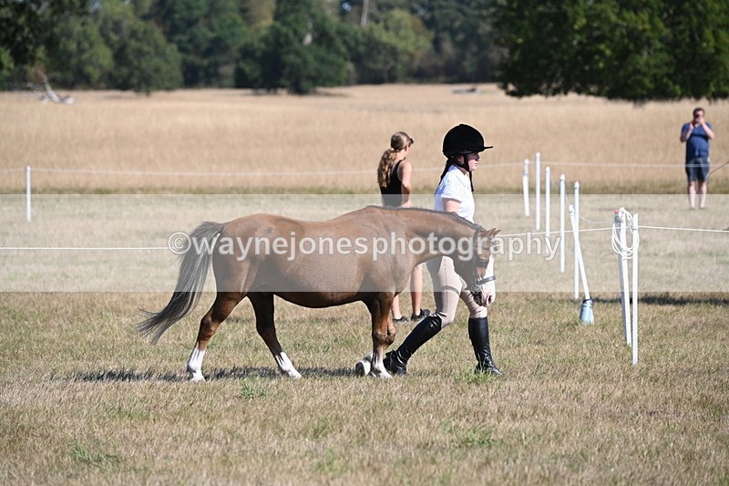 WJ6_7411 - Class 34 Judges Choice