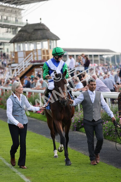 yr05092021r4-14 - Race 4 3.45pm Coopers Marquees British EBF Future Stayers' Novice Stakes