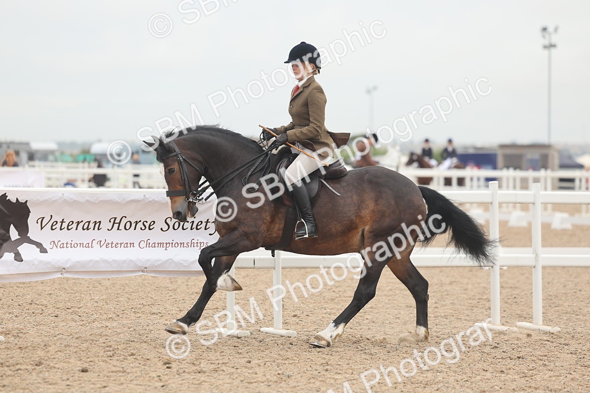 SBM_01926