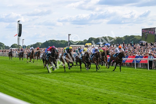 260725-Race 7-Chesneys Charm-7946 - Race 7 5.00pm Sky Bet Extra Places Every Day Handicap