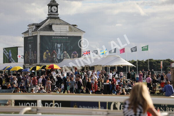 yr19082022r7-18 - Race 7 5.20pm Sky Bet Mile Stakes