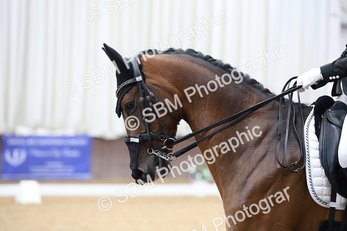 SBM_006682 - Class 22 - Medium 5 Silver