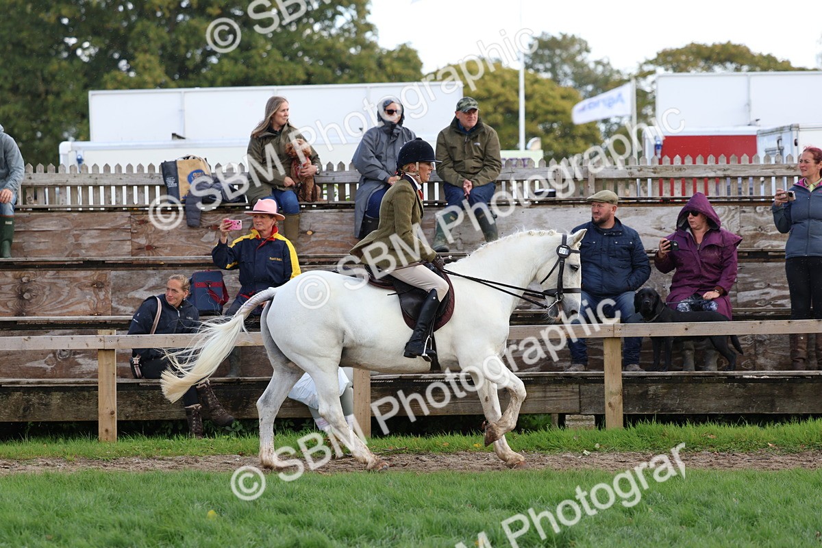 SBM_47660 - S28 - Veteran Ridden