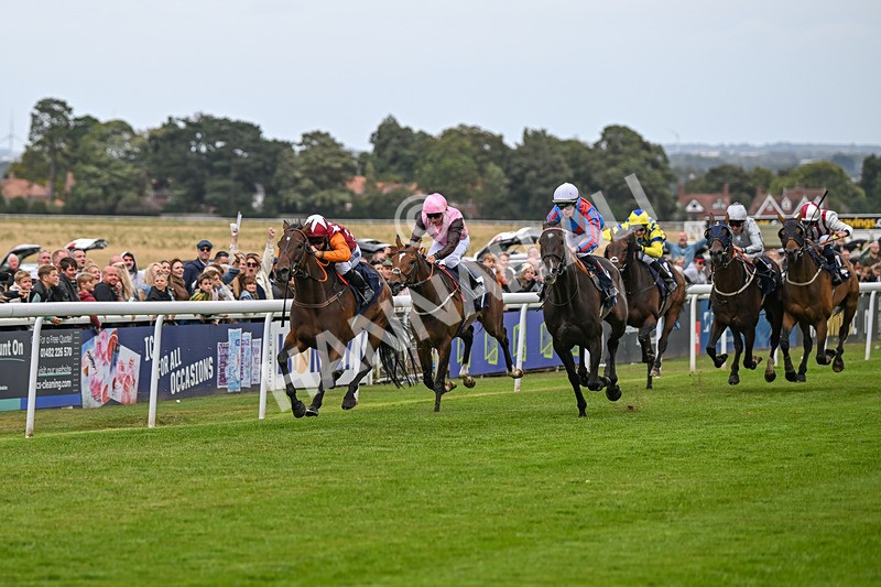 250824-Race 5-Lincoln Rockstar-3655 - Race 5