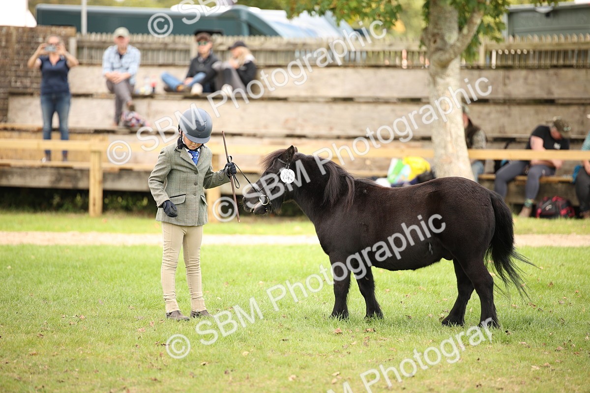 SBM_46357 - S25 - Mature Veteran In Hand