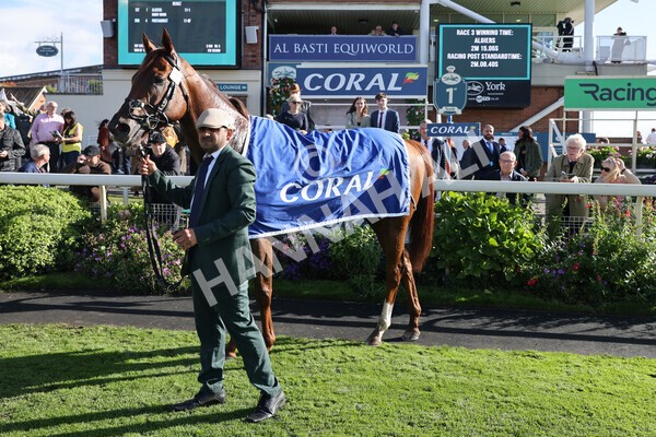 yr08102022r3-67 - Race 3 2.40pm The Coral 'Beaten-by-a-Length' Free Bet Handicap