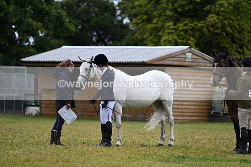 WJ7_6192 - Class 4a Prettiest Mare over 14hh