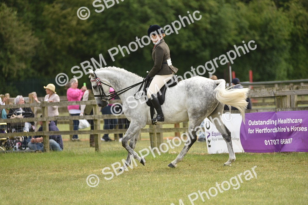 SBM_17722 - Class 122-123 - LIHS BHSA Raising Star Style and Performance Series