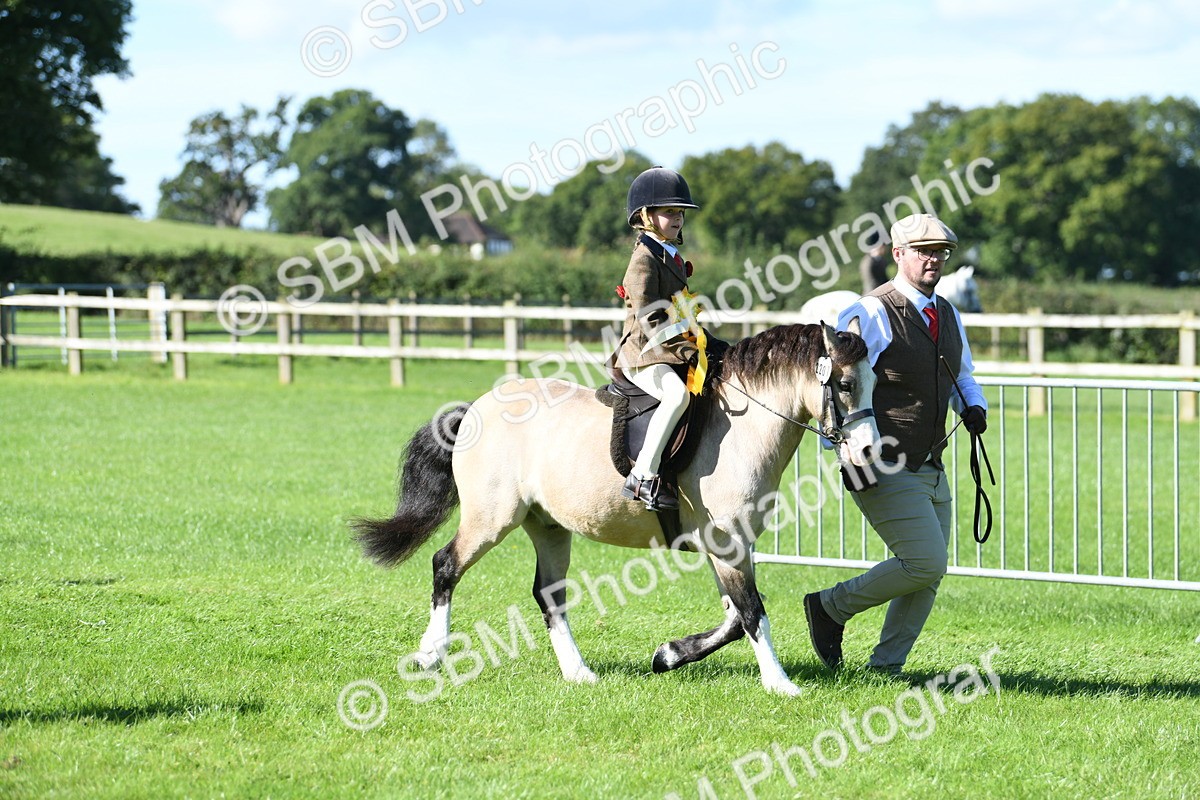 SBM_37107 - S18 - Novice & Newcomers Lead Rein Pony
