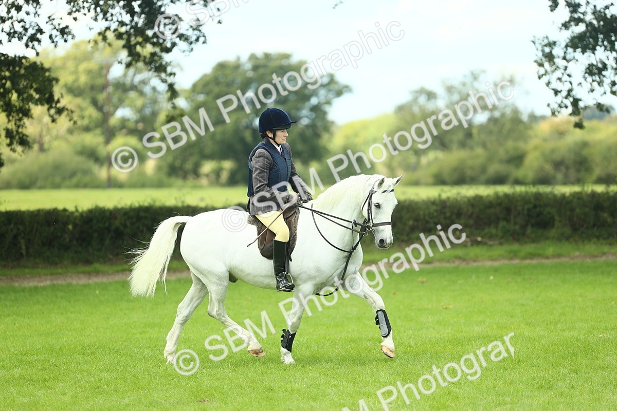 SBM_42786 - S30 - M&M Working hunter Pony
