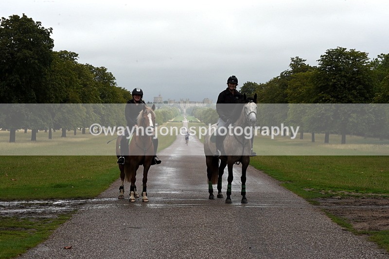 TT3_8291 - Time at Crossing 10:16 to 11:38