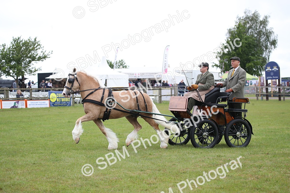 SBM_05641 - Class 12-15 - HOYS Private Driving