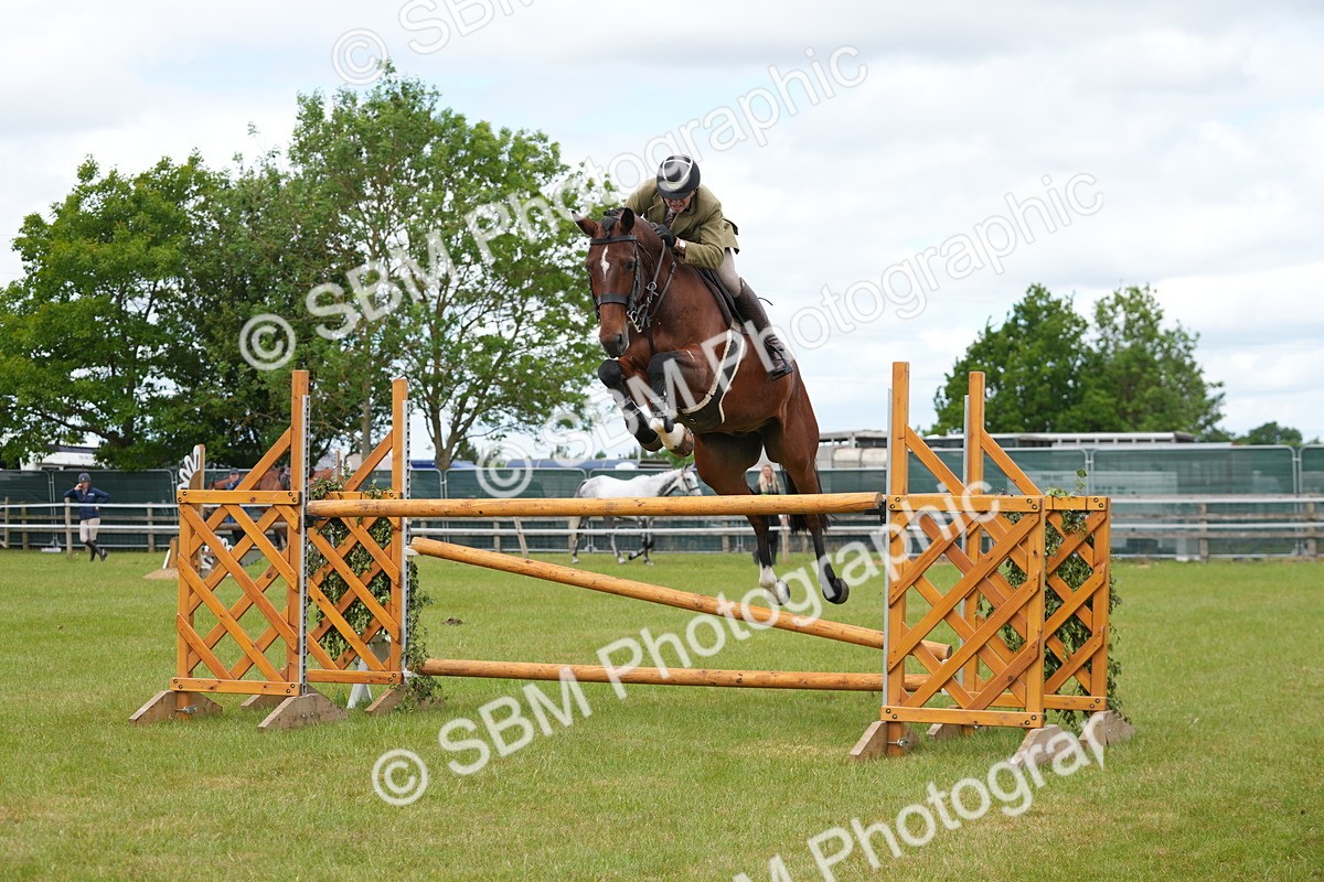 SBM_14946 - Class 100-102 - RIHS Working Hunter