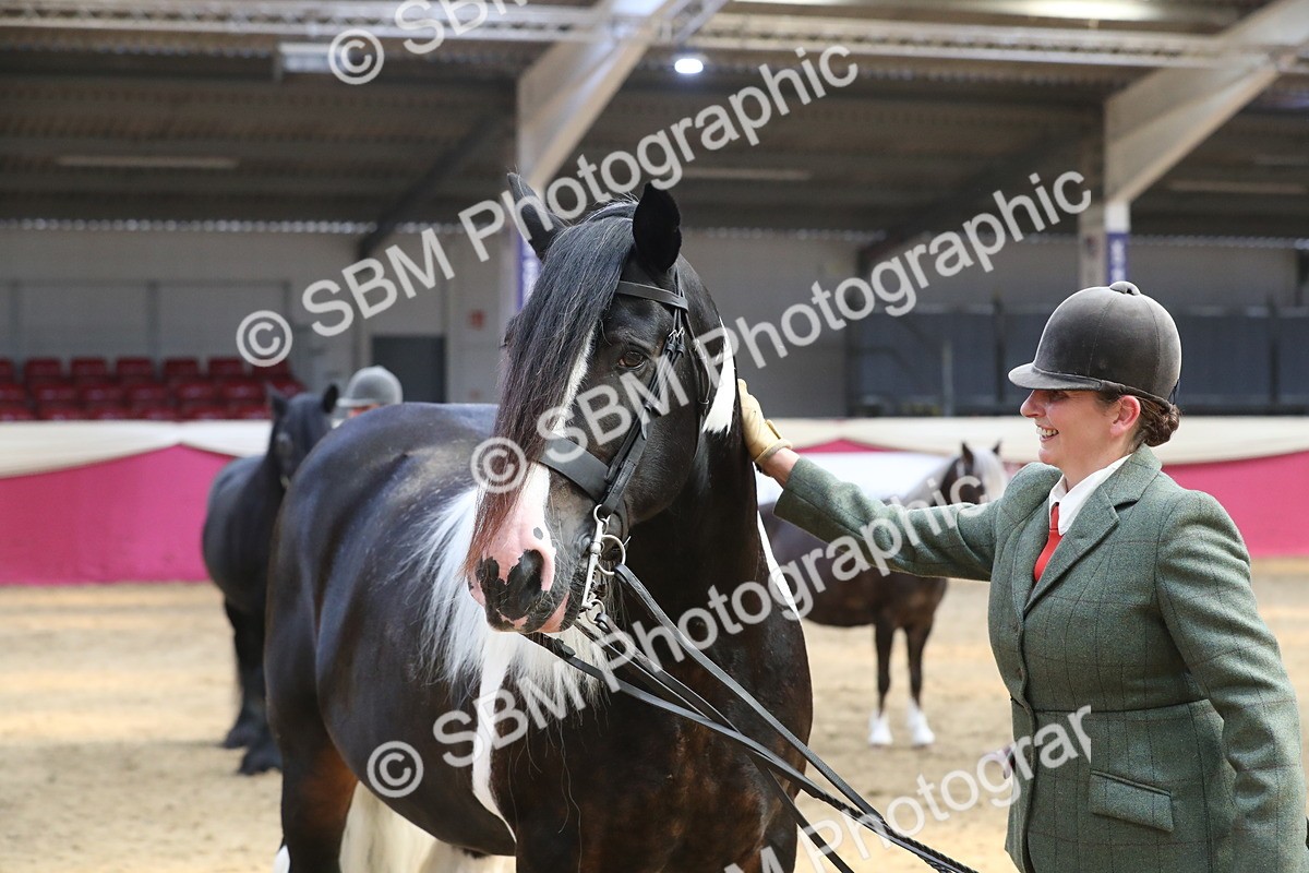 SBM_06560 - Regional IH Champ