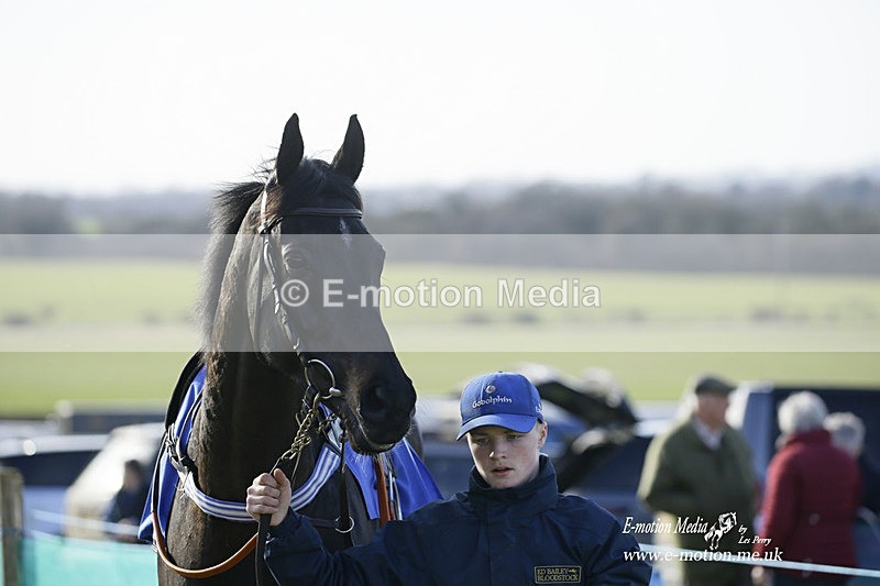 PtP 260222 639 - Kingston Blount Racing Club Point-to-Point 26/02/22