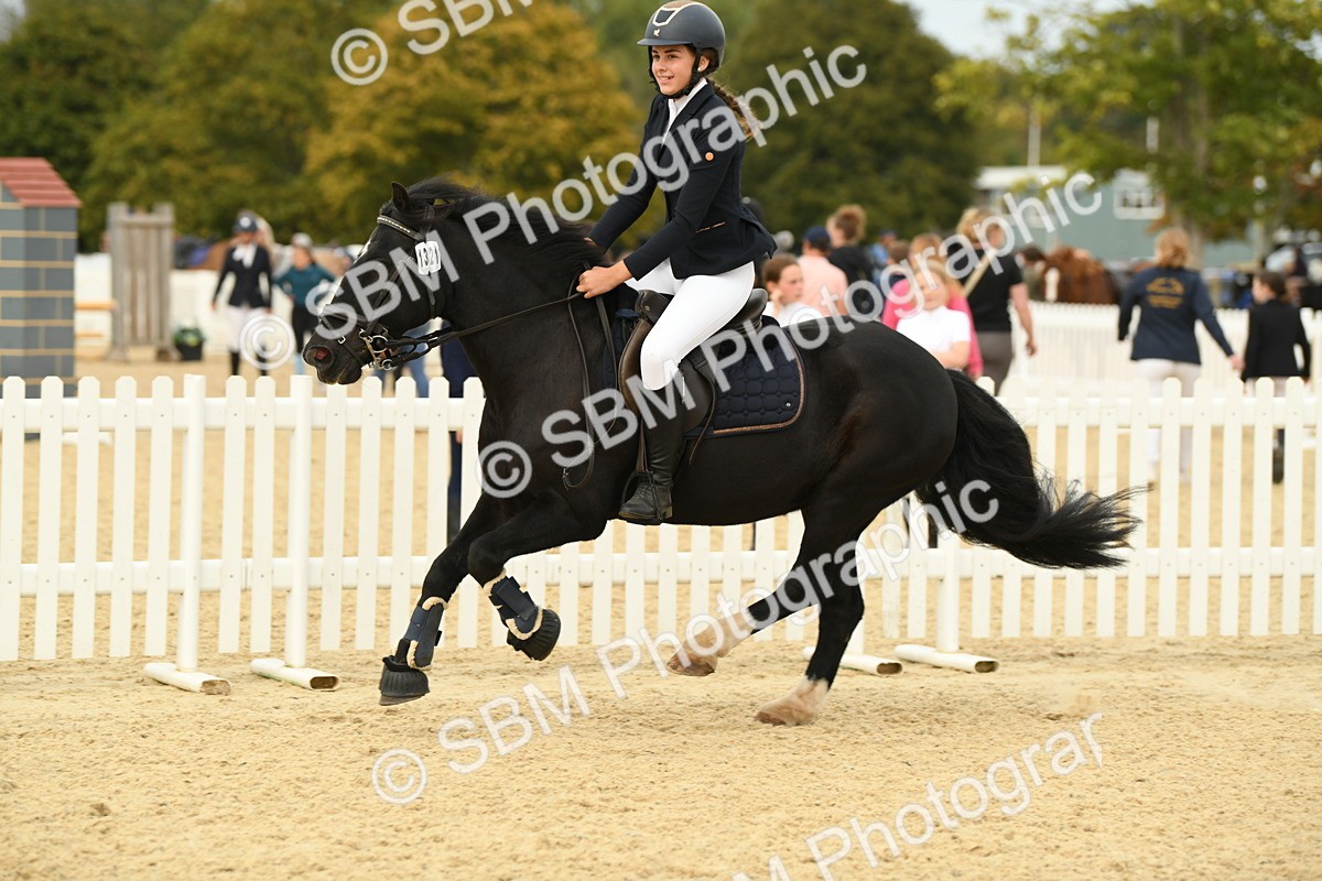 SBM_71212 - J15 - Junior Pony 70cm Championship