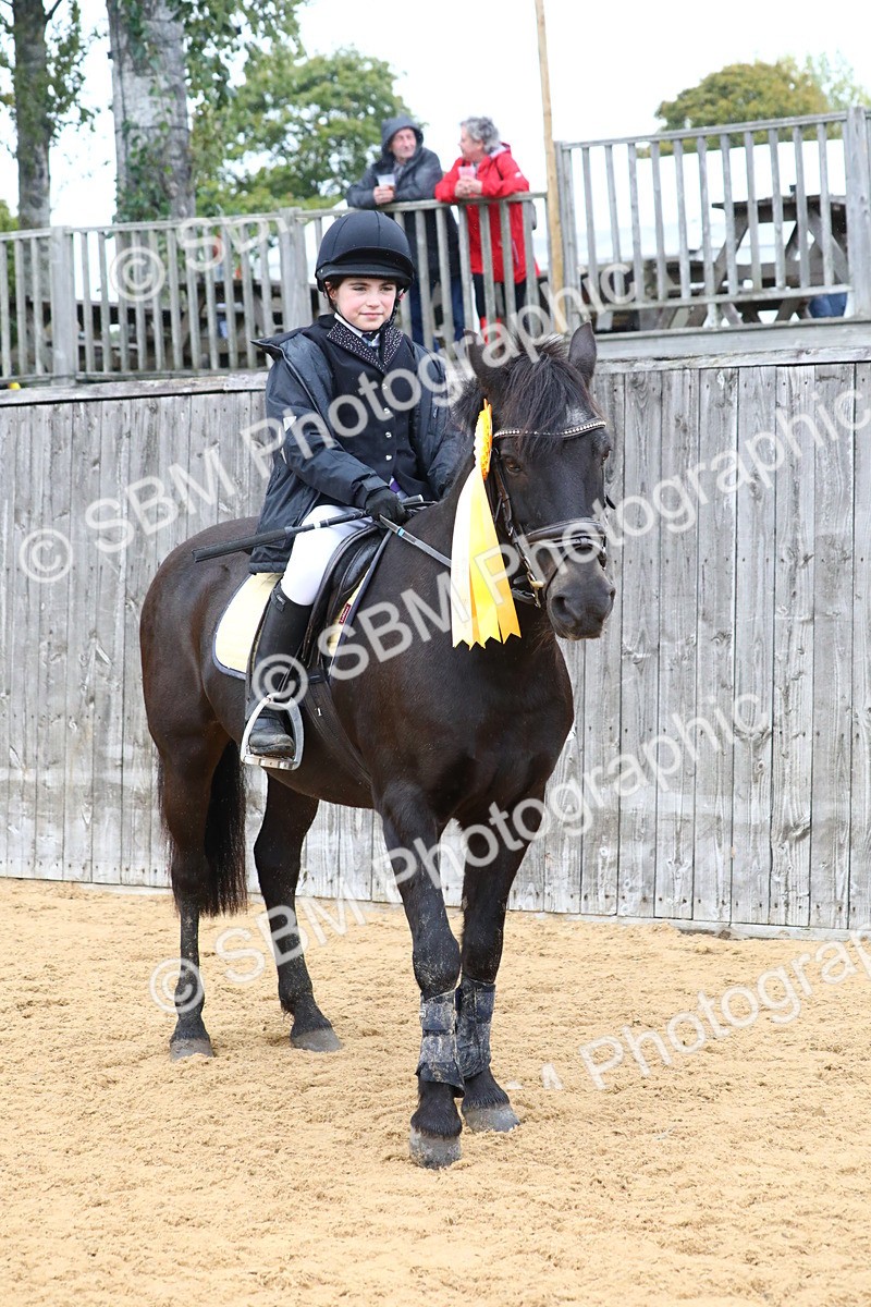SBM_72120 - J3b - Mini Tour Junior Pony 40cm Championship