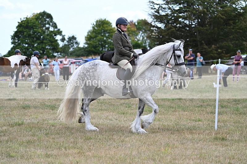 WJ7_4685 - Class 12 Ridden Cob