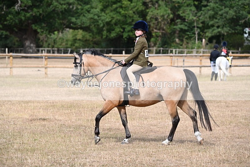 WJ6_7465 - Class 9 Tack and Turnout