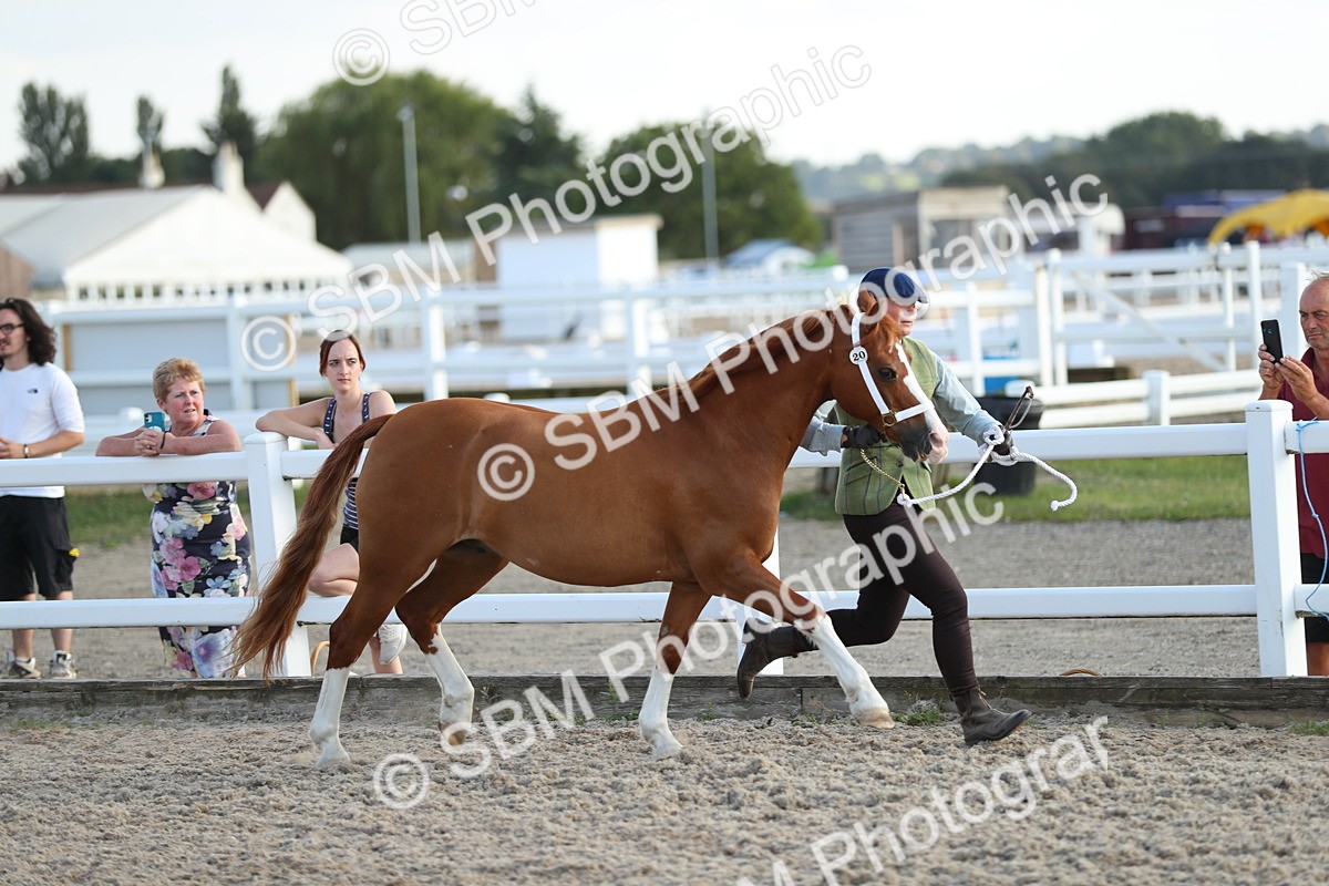 SBM_08921 - Class 29 IH Veteran Pony