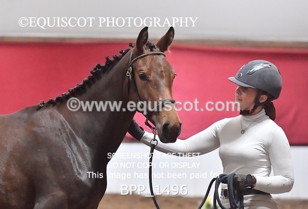 BPP_1496 - MORNING 9AM - 12PM