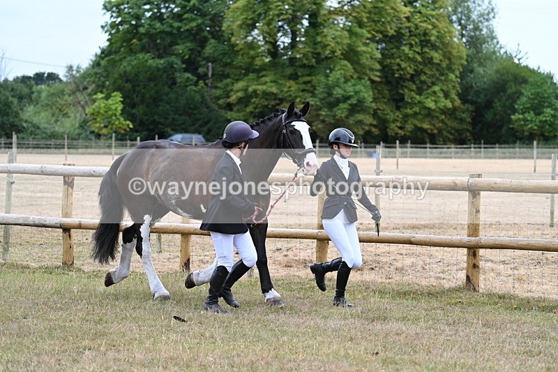 WJ7_8926 - Class 4a Prettiest Mare 14.2hh and over