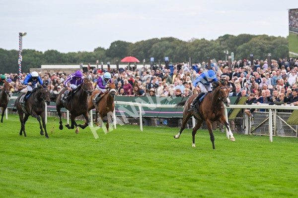 200825-Race 4-Ombudsman-1626 - Race 4 3.35pm Juddmonte International Stakes