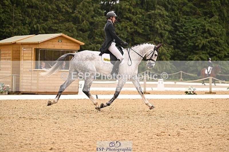 000101-215835-04508 - 404-DEERPAIRC_REVELRY-Max_Warburton