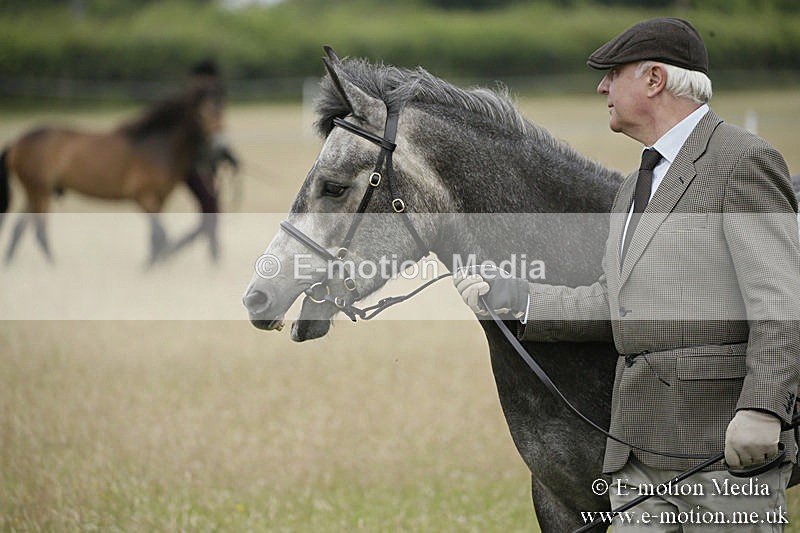 B230619-0033 - Bourne Valley Riding Club Summer Show 23/06/19