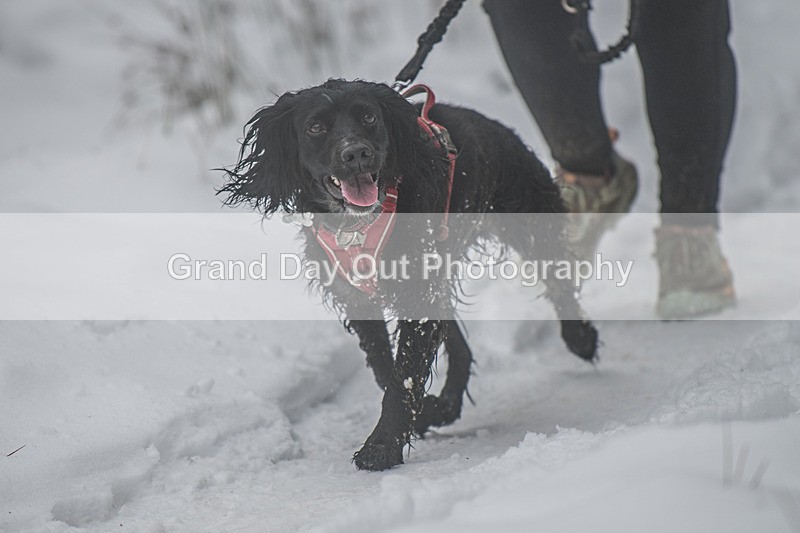Glentress-1427 - High Terrain Events Glentress 42, 21 & 10K Trail Races Sunday 15th February 2026